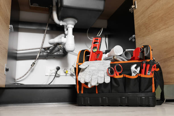 Best Commercial Plumbing Services  in Dilley, TX